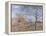 Banks of the Loing - Autumn Effect, 1881-Alfred Sisley-Framed Premier Image Canvas