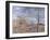 Banks of the Loing - Autumn Effect, 1881-Alfred Sisley-Framed Giclee Print