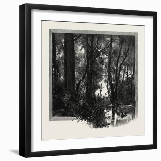 Banks of the Red River, Canada, Nineteenth Century-null-Framed Giclee Print