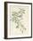 Banksia Marcescens, 1813-Pierre Joseph Redoute-Framed Giclee Print