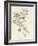 Banksia Marcescens, 1813-Pierre Joseph Redoute-Framed Giclee Print