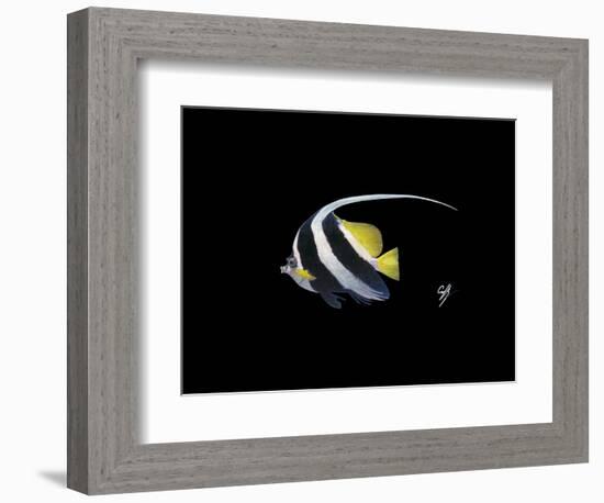 Bannerfish-Durwood Coffey-Framed Giclee Print