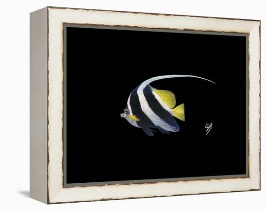 Bannerfish-Durwood Coffey-Framed Premier Image Canvas