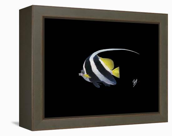Bannerfish-Durwood Coffey-Framed Premier Image Canvas