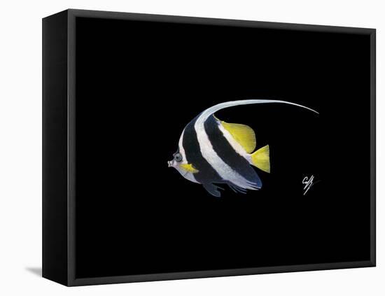 Bannerfish-Durwood Coffey-Framed Premier Image Canvas