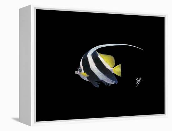 Bannerfish-Durwood Coffey-Framed Premier Image Canvas