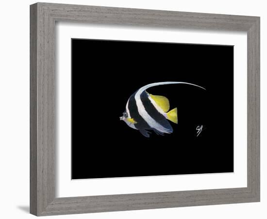 Bannerfish-Durwood Coffey-Framed Giclee Print