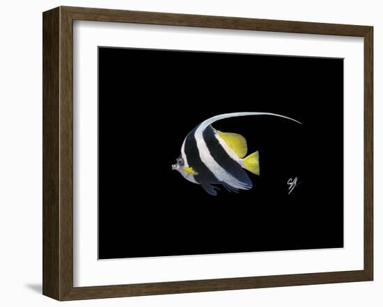 Bannerfish-Durwood Coffey-Framed Giclee Print