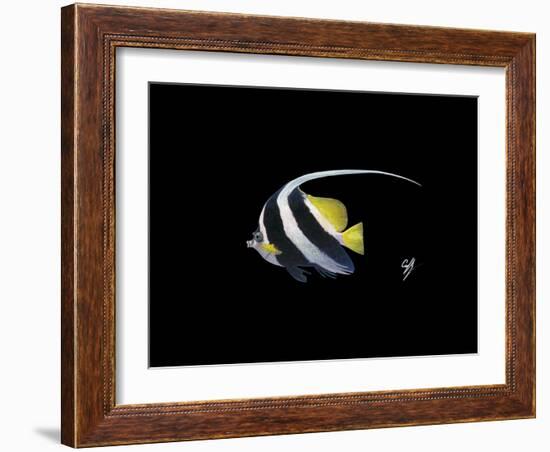Bannerfish-Durwood Coffey-Framed Giclee Print