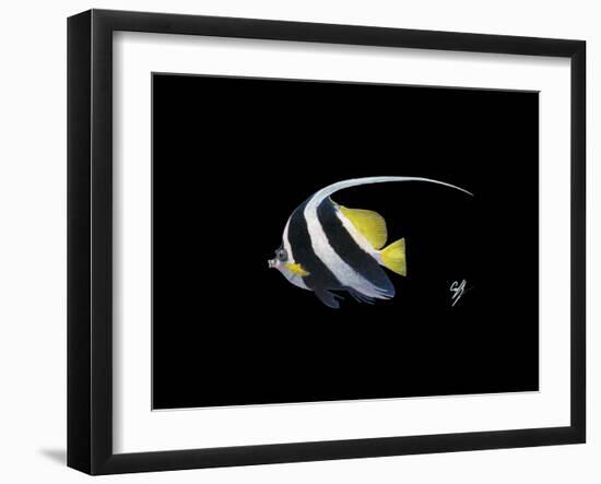 Bannerfish-Durwood Coffey-Framed Giclee Print