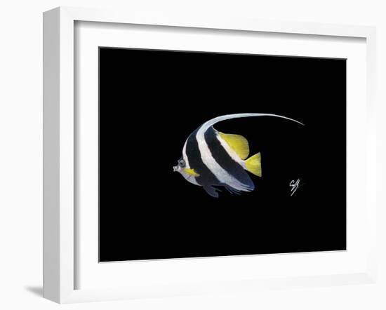 Bannerfish-Durwood Coffey-Framed Giclee Print