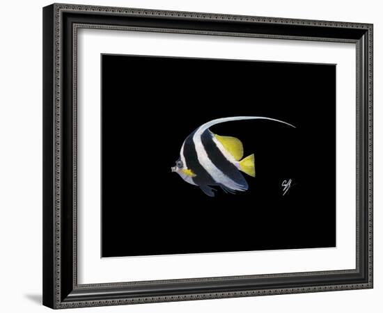 Bannerfish-Durwood Coffey-Framed Giclee Print