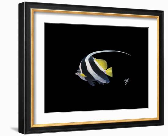 Bannerfish-Durwood Coffey-Framed Giclee Print