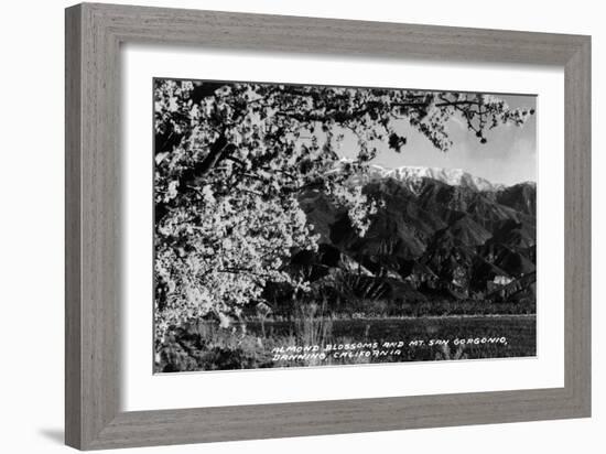 Banning, California - Almond Blossoms with Mt San Gorgonio-Lantern Press-Framed Art Print