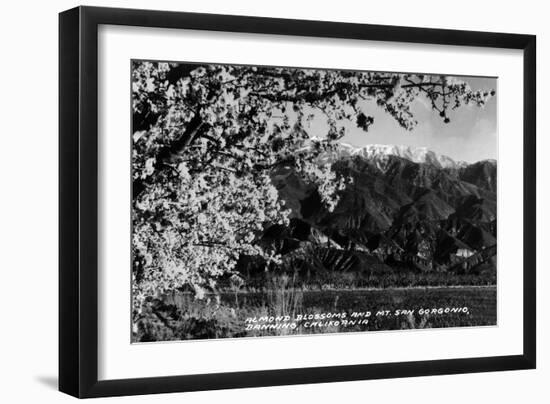 Banning, California - Almond Blossoms with Mt San Gorgonio-Lantern Press-Framed Art Print