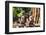 Banteay Srei Temple in Angkor-Michael Nolan-Framed Photographic Print