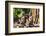 Banteay Srei Temple in Angkor-Michael Nolan-Framed Photographic Print