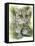 Bantom-Barbara Keith-Framed Premier Image Canvas