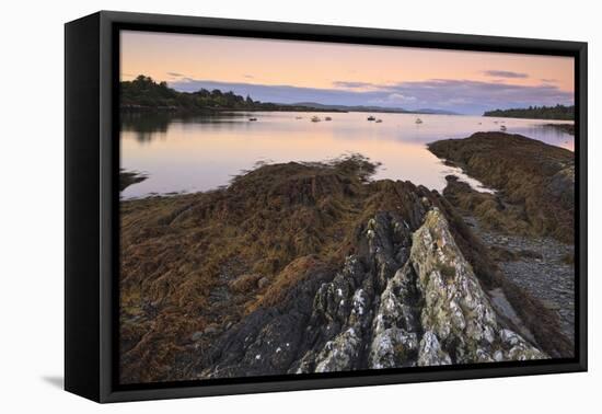 Bantry Bay, County Cork, Munster, Republic of Ireland, Europe-Carsten Krieger-Framed Premier Image Canvas