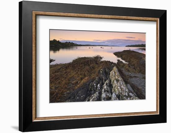 Bantry Bay, County Cork, Munster, Republic of Ireland, Europe-Carsten Krieger-Framed Photographic Print