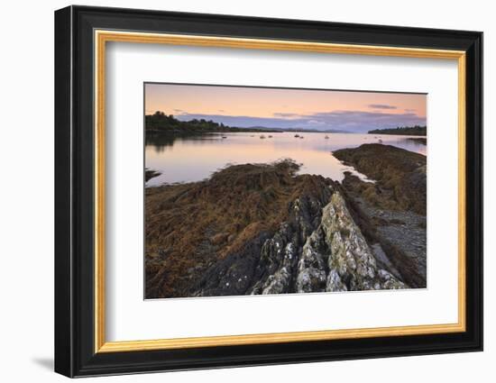 Bantry Bay, County Cork, Munster, Republic of Ireland, Europe-Carsten Krieger-Framed Photographic Print