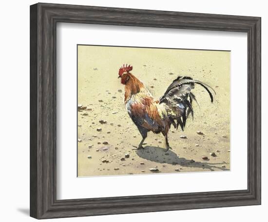 Banty Rooster-LaVere Hutchings-Framed Giclee Print