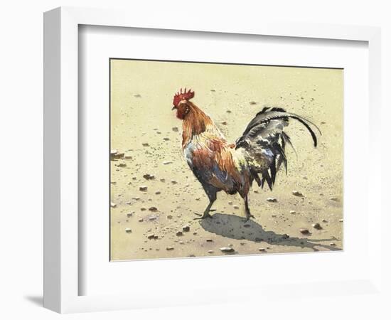 Banty Rooster-LaVere Hutchings-Framed Giclee Print