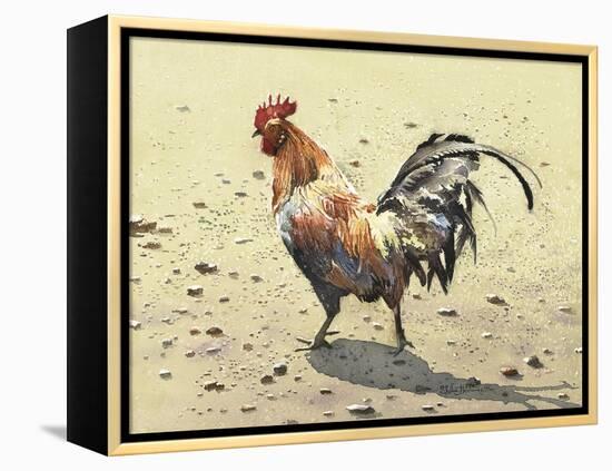 Banty Rooster-LaVere Hutchings-Framed Premier Image Canvas