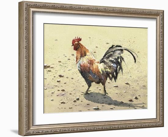 Banty Rooster-LaVere Hutchings-Framed Giclee Print