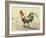 Banty Rooster-LaVere Hutchings-Framed Giclee Print