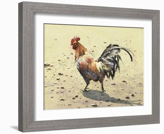 Banty Rooster-LaVere Hutchings-Framed Giclee Print