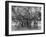 Banyan Tree, Kingston Park, Jamaica, C1905-Adolphe & Son Duperly-Framed Giclee Print