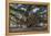Banyan Tree, Lahaina, Maui, Hawaii, United States of America, Pacific-Rolf Richardson-Framed Premier Image Canvas