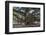 Banyan Tree, Lahaina, Maui, Hawaii, United States of America, Pacific-Rolf Richardson-Framed Premium Photographic Print