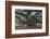 Banyan Tree, Lahaina, Maui, Hawaii, United States of America, Pacific-Rolf Richardson-Framed Photographic Print