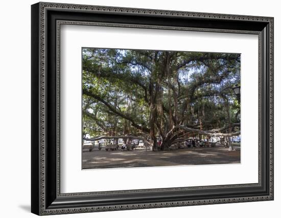 Banyan Tree, Lahaina, Maui, Hawaii, United States of America, Pacific-Rolf Richardson-Framed Photographic Print