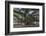 Banyan Tree, Lahaina, Maui, Hawaii, United States of America, Pacific-Rolf Richardson-Framed Photographic Print