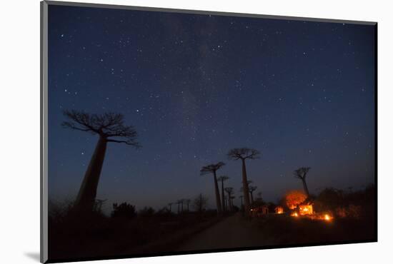 Baobab Alley, Madagascar-Art Wolfe-Mounted Photographic Print