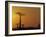 Baobab Avenue at Sunset, Madagascar-Daisy Gilardini-Framed Photographic Print