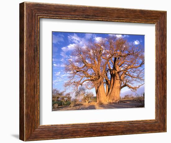 Baobab, Okavango Delta, Botswana-Pete Oxford-Framed Photographic Print