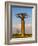 Baobab tree against cloudy sky, Morondava, Madagascar-Panoramic Images-Framed Photographic Print