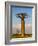 Baobab tree against cloudy sky, Morondava, Madagascar-Panoramic Images-Framed Photographic Print