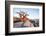 Baobab Tree at Dawn, Kubu Island, Botswana-Paul Souders-Framed Photographic Print