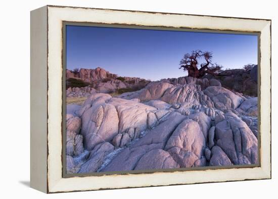 Baobab Tree at Dusk, Kubu Island, Botswana-Paul Souders-Framed Premier Image Canvas