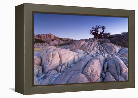 Baobab Tree at Dusk, Kubu Island, Botswana-Paul Souders-Framed Premier Image Canvas