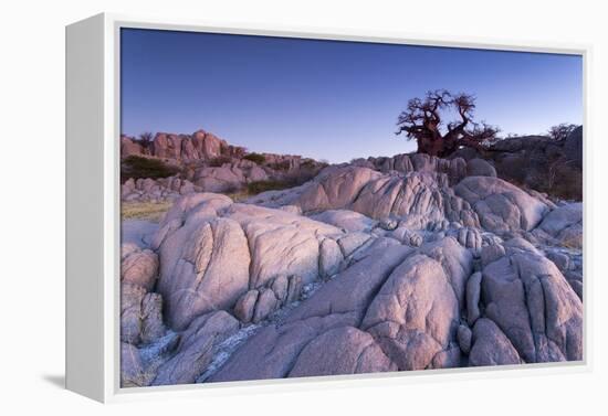 Baobab Tree at Dusk, Kubu Island, Botswana-Paul Souders-Framed Premier Image Canvas