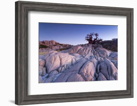 Baobab Tree at Dusk, Kubu Island, Botswana-Paul Souders-Framed Photographic Print