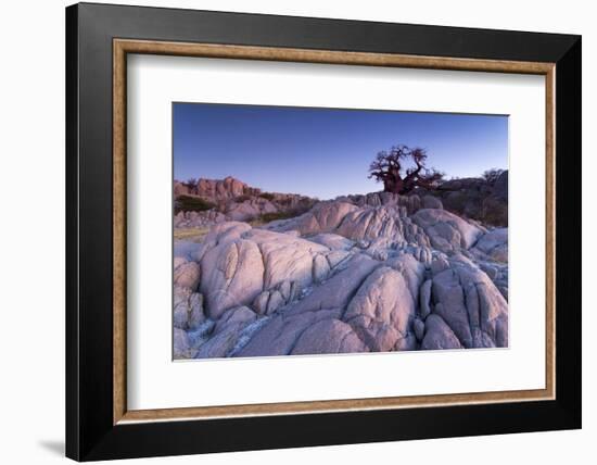 Baobab Tree at Dusk, Kubu Island, Botswana-Paul Souders-Framed Photographic Print