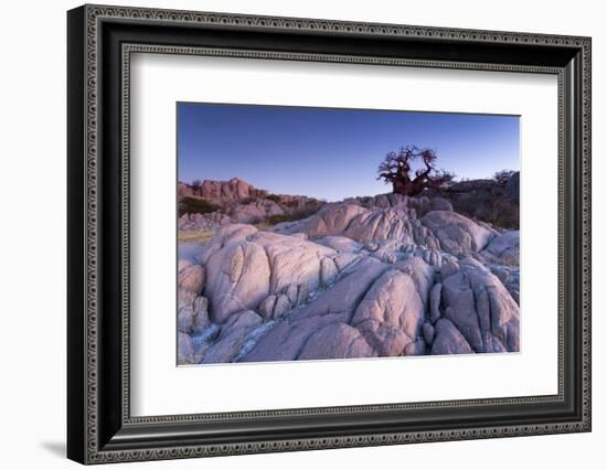 Baobab Tree at Dusk, Kubu Island, Botswana-Paul Souders-Framed Photographic Print