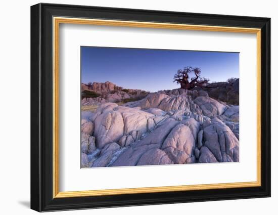 Baobab Tree at Dusk, Kubu Island, Botswana-Paul Souders-Framed Photographic Print